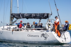 chimaera