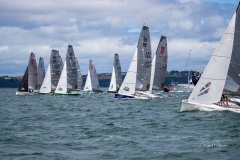 G5I3833