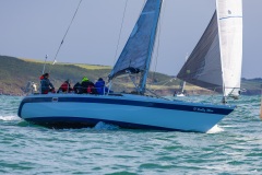 Holly Blue